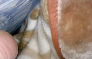 XXX ▷ランジェリーアナル服を脱いで貧乳ファック 無料 女子 向け エロ