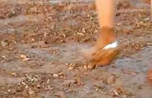 XXX 家政婦とホステスは台所で顔騎と女性のオナニーとレズビアンセックスに従事しています 女子 向け h 動画