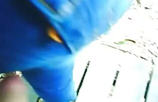 XXX 肛門性とTaisija大きな恋人に塾より深い av 動画 女子 向け