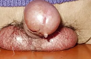 XXX 赤毛とアナルセックス♥ハードコアスタイルでzelda morrison 女子 の ため の セックス 動画