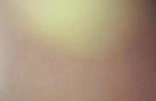 XXX 大きなボルトの馬にNe'er-do-プルは、キッチンで女の子の親友です エロ 動画 女子 用